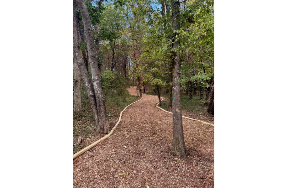 2 Acre Park with Walking Trails